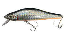 Strike Pro Archback 10CM - 20G Lures - A70-713