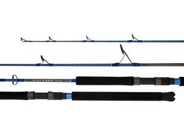 Daiwa 23 SALTIST Rods