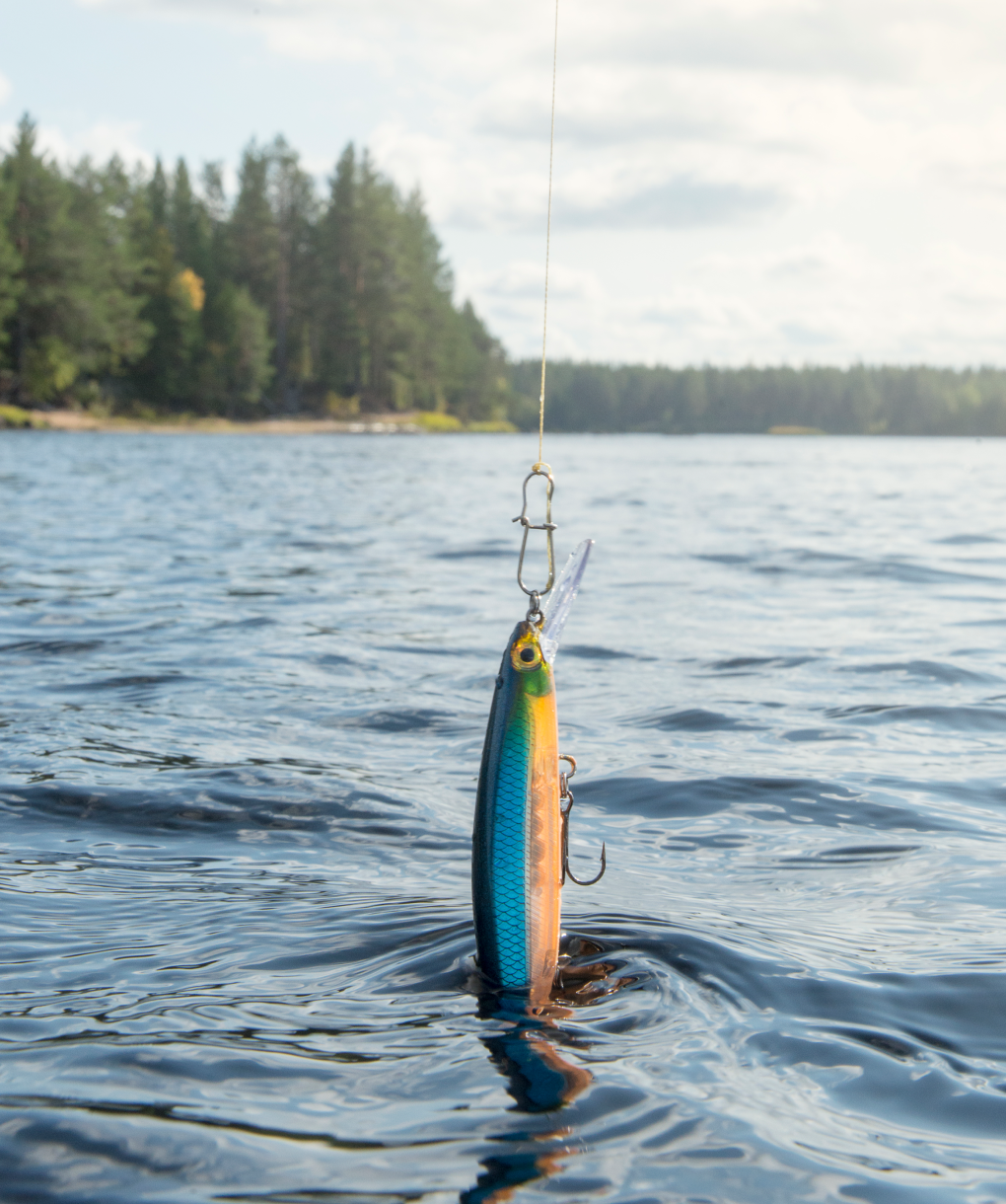 Fishing Lures