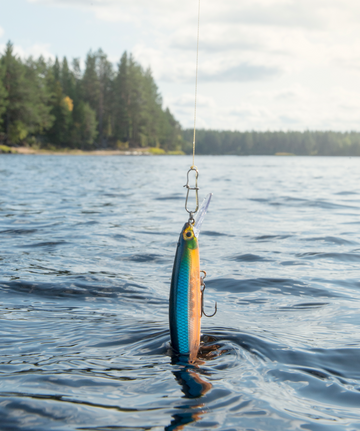 Fishing Lures
