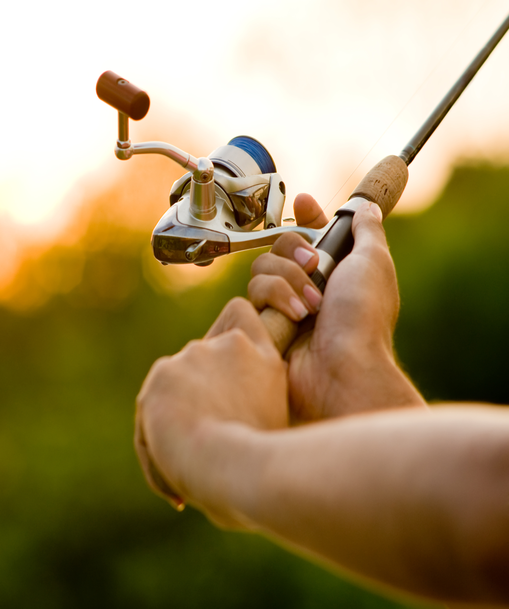 Fishing Rods 