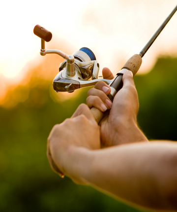 Fishing Rods 