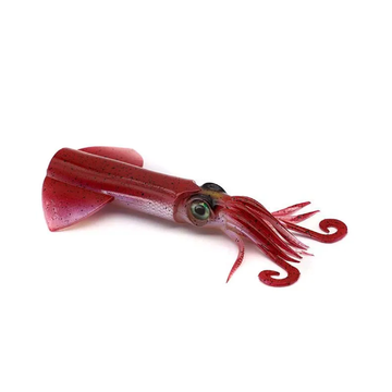 JLC XIPI EVO LURE