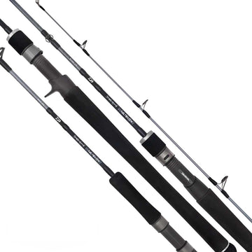 Daiwa 20 TD SALTWATER Rod