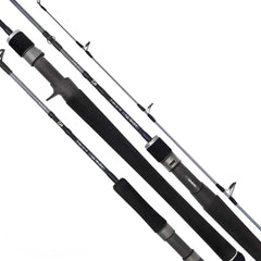 Daiwa 20 TD SALTWATER Rod